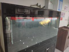 -翟韵茶咖棋牌