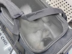 -宠福鑫动物医院(立水桥分院)