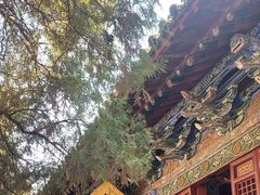 -洛阳白马寺