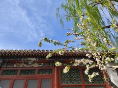 -海棠花溪(元大都城垣遗址公园)