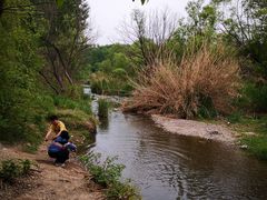 -淇河国家湿地公园