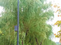 -西安曲江寒窑遗址公园