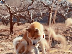 -御林汤泉