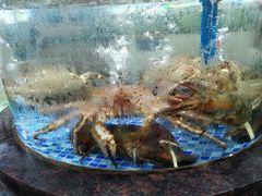 -绿雅居原生态农庄(小涌店)