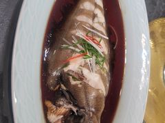 清蒸鲽鱼-金阁家常菜(贵阳路店)