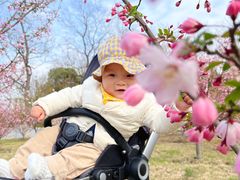 -白塘生态植物园