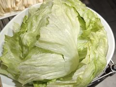-友乐居羊蝎子(西直门店)