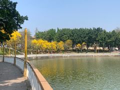 -仙湖旅游度假区