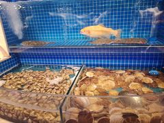 水产区-乔哥铭洋海鲜自助(皇城恒隆广场店)