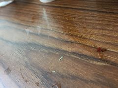 -傣妹火锅(狮子桥店)