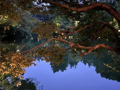 -乌镇景区
