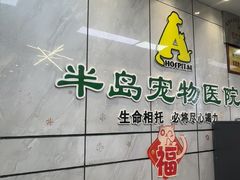 -半岛宠物医院24小时(西派城店)