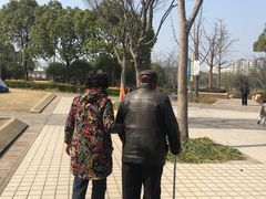 -新江湾城公园