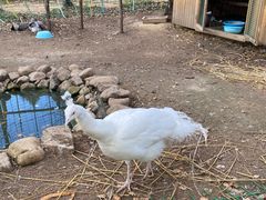 -道须沟旅游风景区