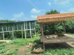 -西安秦岭野生动物园