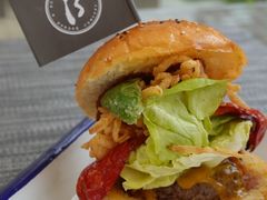 -BAIA 巴亚