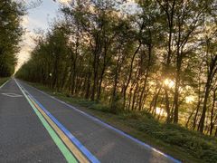 -黄海国家森林公园