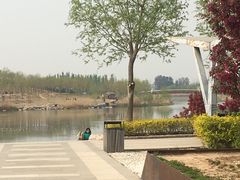 -马家湾湿地公园
