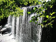 -汤旺河林海奇石景区
