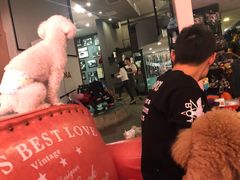 -百好乐宠物友好餐厅(朝外大街店)