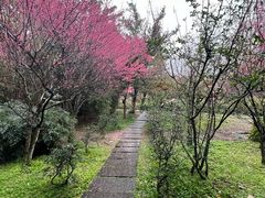 -成都杜甫草堂博物馆
