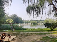 -朝阳公园游乐园