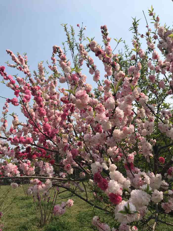 蜀崗西峰生態公園