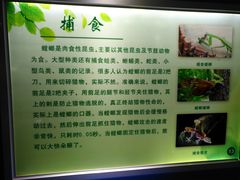 -上海昆虫博物馆