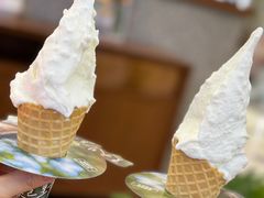 -野人先生Gelato(上海长宁龙之梦店)