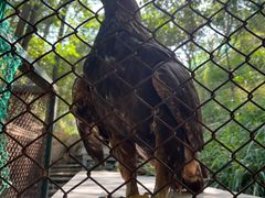 -青藏高原野生动物园