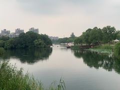 -新江湾城公园