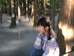-东湖落雁景区