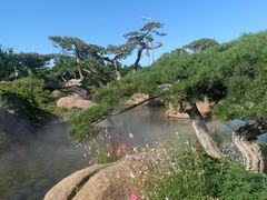 -罗红摄影艺术馆