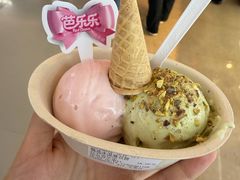 -极拉图·现制冰淇淋(大卫城店)