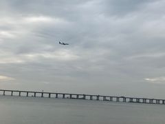 -宝安西湾红树林湿地公园