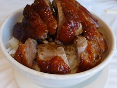 烧鸭饭-三和烧腊酒家