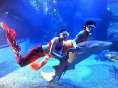 -成都浩海立方海洋公园