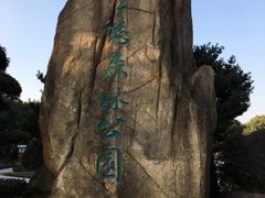 -昆山城市生态森林公园