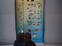 -中国地质大学逸夫博物馆