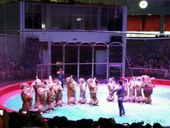 -西安秦岭野生动物园