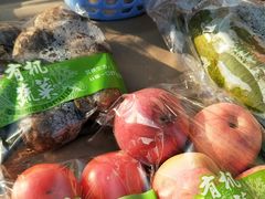 -大自然农场蔬菜草莓采摘园