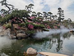 -罗红摄影艺术馆