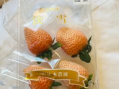 -永旺(大阪巨蛋城店)