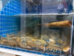 -宾朋海鲜饭庄(兴海路店)