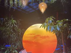 -扬之阿李菌汤火锅(1969店)