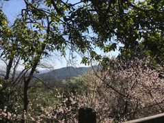 -灵隐飞来峰景区