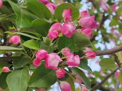 -元大都城垣遗址公园