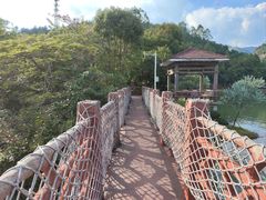 -广州白江湖森林公园