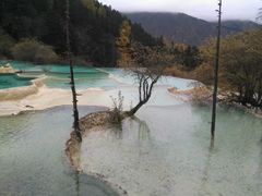 -黄龙山原始森林景区