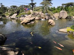 -罗红摄影艺术馆